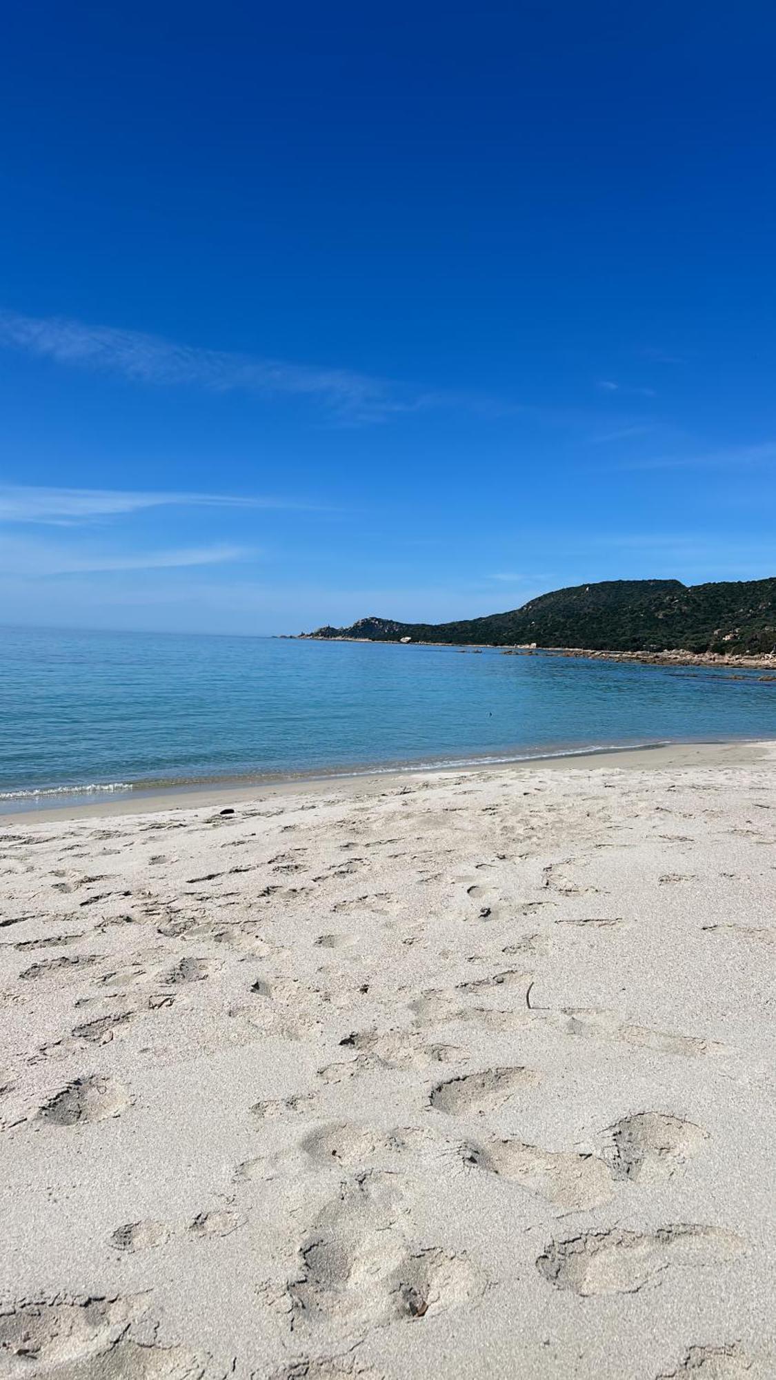 Duplex F4 Sanguinaires A 5 Mn De La Plage Ajaccio  Eksteriør billede