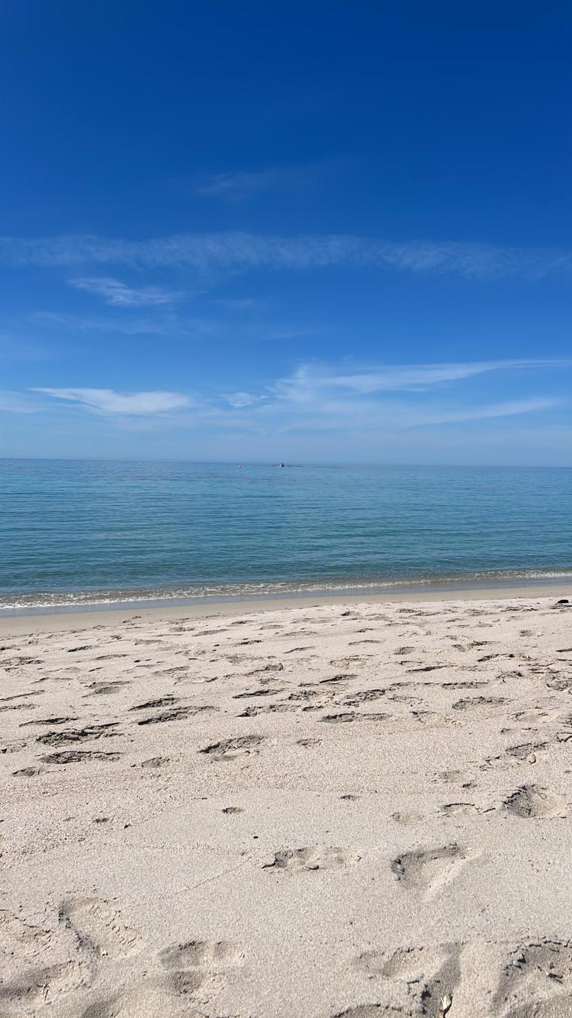 Duplex F4 Sanguinaires A 5 Mn De La Plage Ajaccio  Eksteriør billede
